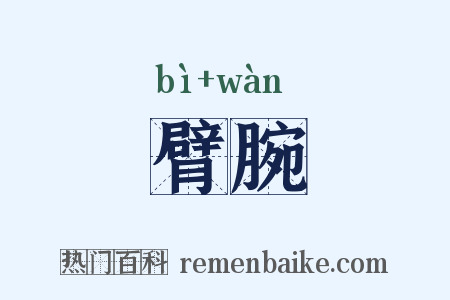 臂腕是什么意思的图片